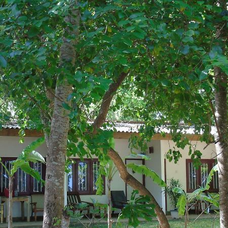 Talalla Coconut Hotel Exterior foto
