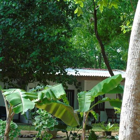 Talalla Coconut Hotel Exterior foto
