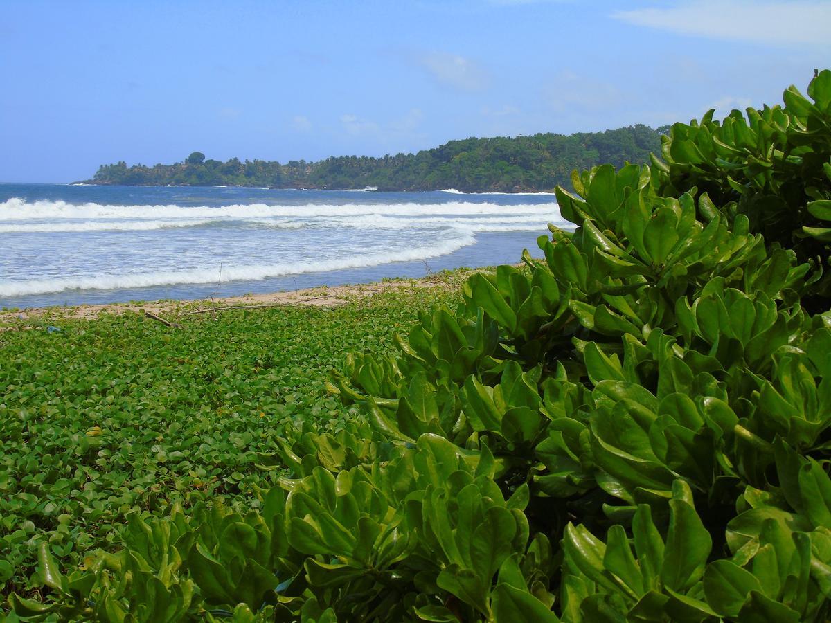 Talalla Coconut Hotel Exterior foto