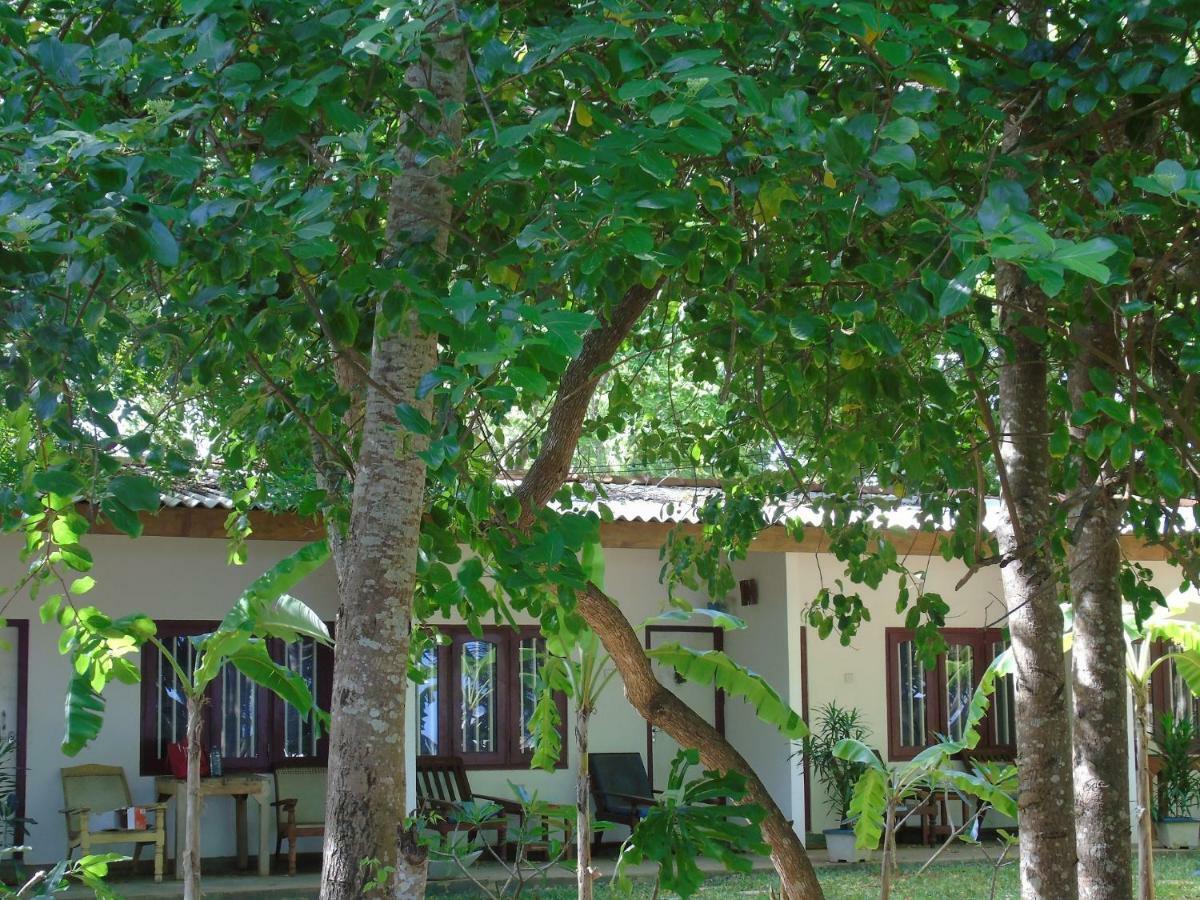 Talalla Coconut Hotel Exterior foto