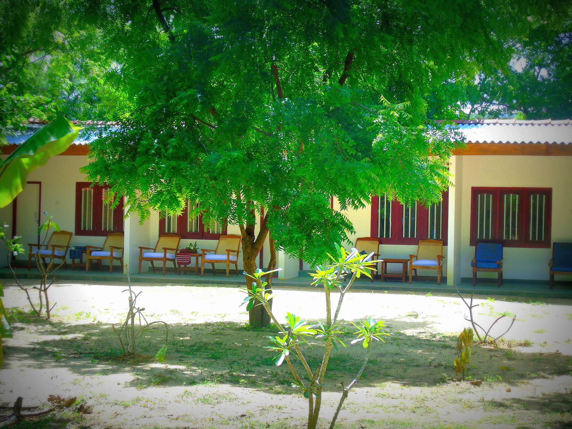 Talalla Coconut Hotel Exterior foto